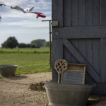 Ouderdom - Karin Ormel