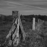 Ouderdom - Willie Graat