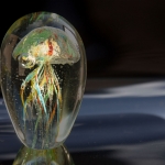 Glas - Martin van der Kemp