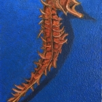 Seahorse