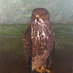 Buzzard