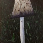 Scaled inkcap