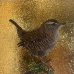 Wren