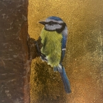 Blue tit