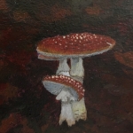 Fly agaric