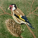 Goldfinch