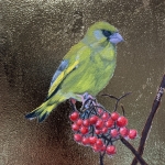 Greenfinch
