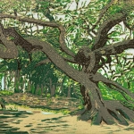 Vliegden Mantingerzand