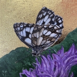 Marbled White