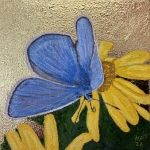 Common Blue
