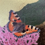 Small Tortoiseshell