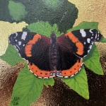 Red Admiral