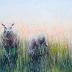 schapen in het hoge gras