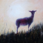 Schaap in de avondzon op het duin.