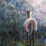 Schaap in de zomeravond