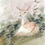 Jong hert in het bos