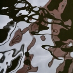 WS 3