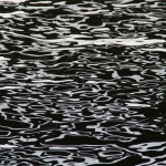 WS 7