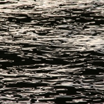 WS 8
