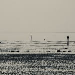 Mensen op het Wad