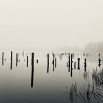 Palen boven water