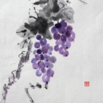 Blauwe druiventrossen