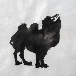 Kameel