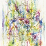 Seed of life, Levensbloem