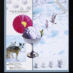 Snowball