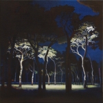 The Clearing IV