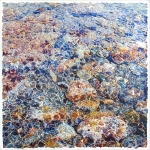Rocky Shore in Shallow Water