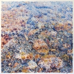Rocky Shore in Shallow Water