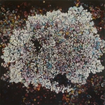 Pattern Recognition