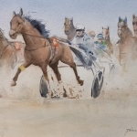 Paardenrace 