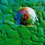 Een detail van bankje bij het strand van Nes in de ochtenddauw.