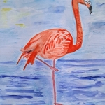 Flamingo