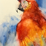 7453 Macaw