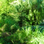 Muziektuin Beek en Donk