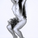 With Roses 4