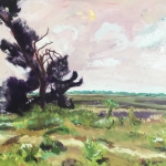 Hay-landscape