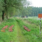 Proefkwekerij voor Krullend gras