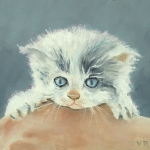 Kitten 3