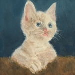 Kitten 4