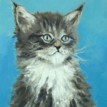 Kitten 2