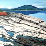 Noors fjordenlandschap