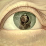 Oog met reflectie 7.