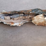 Echte schoonheid zit van binnen II