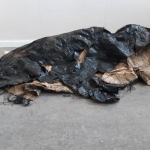 Echte schoonheid zit van binnen V