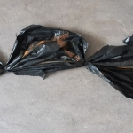 Echte schoonheid zit van binnen VIII