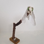 'Groen oog'